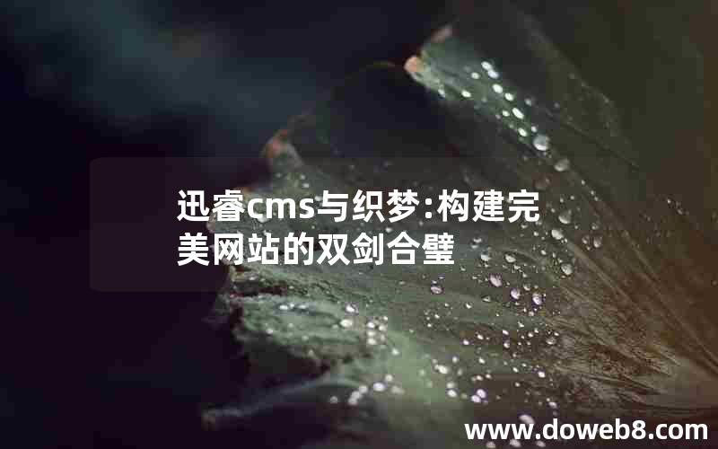 迅睿cms与织梦:构建完美网站的双剑合璧