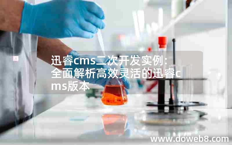 迅睿cms二次开发实例:全面解析高效灵活的迅睿cms版本