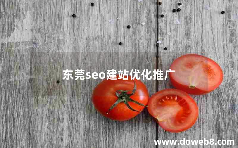 东莞seo建站优化推广