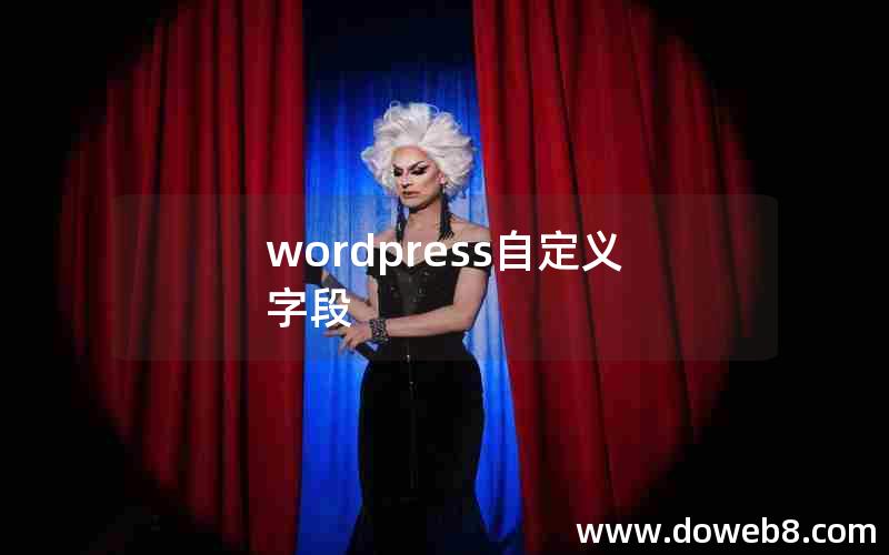 wordpress自定义字段