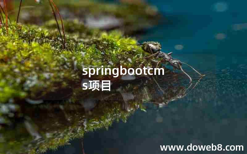 springbootcms项目