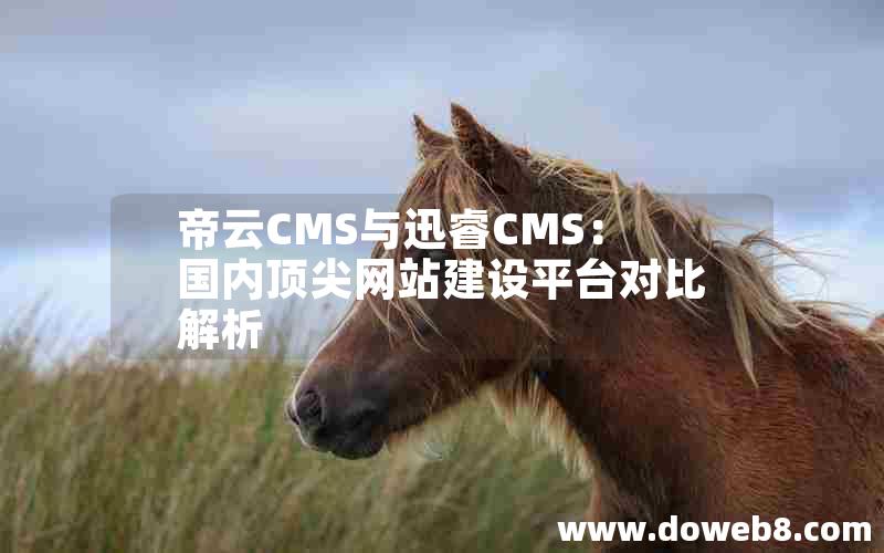 帝云CMS与迅睿CMS：国内顶尖网站建设平台对比解析