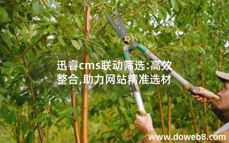 迅睿cms联动筛选:高效整合,助力网站精准选材