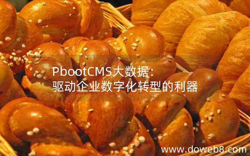 PbootCMS大数据：驱动企业数字化转型的利器