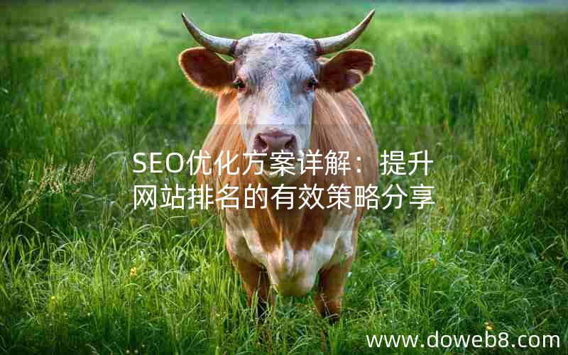 SEO优化方案详解：提升网站排名的有效策略分享