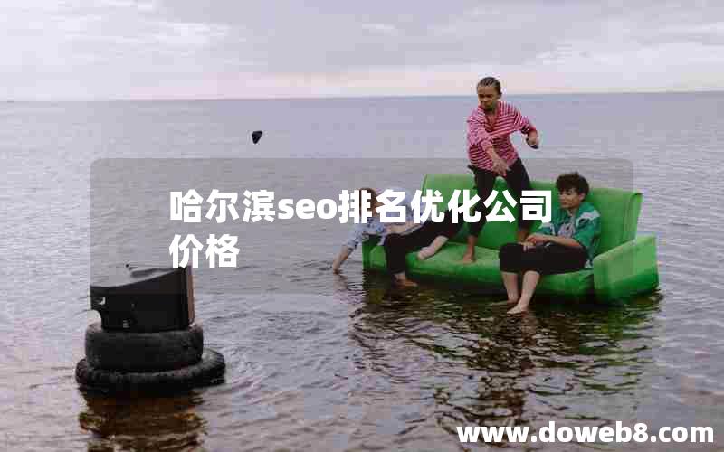 哈尔滨seo排名优化公司价格