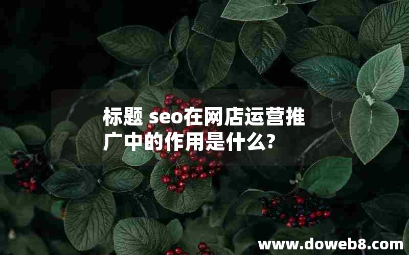 标题 seo在网店运营推广中的作用是什么?