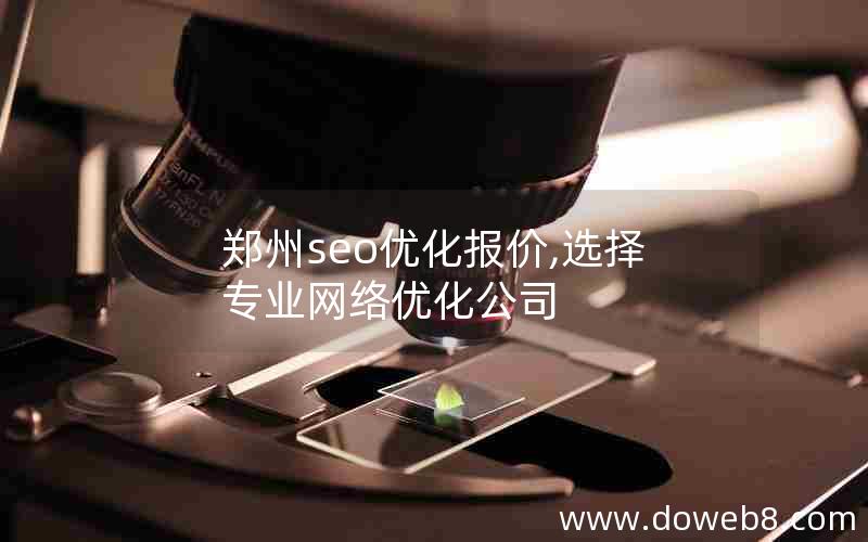 郑州seo优化报价,选择专业网络优化公司