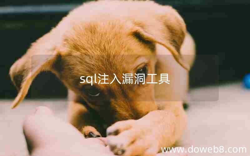 sql注入漏洞工具