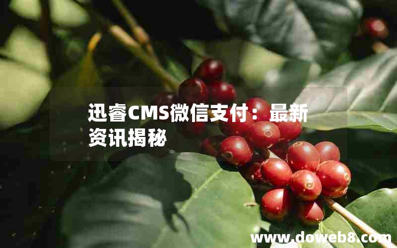 迅睿CMS微信支付：最新资讯揭秘