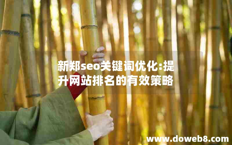 新郑seo关键词优化:提升网站排名的有效策略