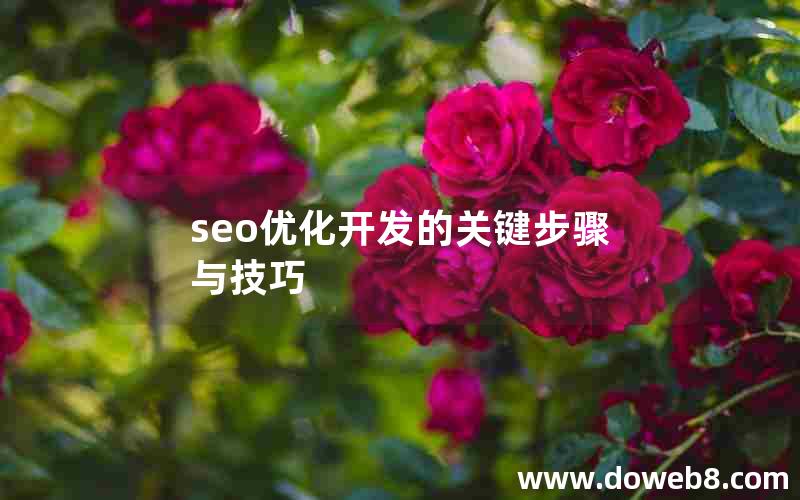 seo优化开发的关键步骤与技巧