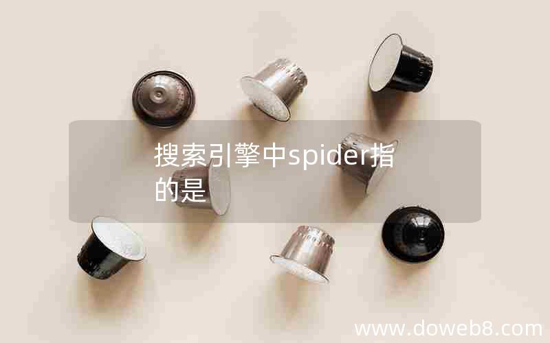 搜索引擎中spider指的是