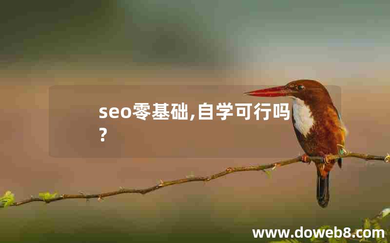 seo零基础,自学可行吗?