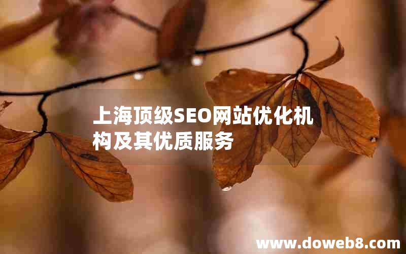 上海顶级SEO网站优化机构及其优质服务