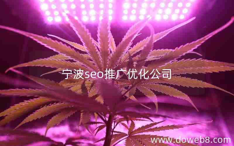 宁波seo推广优化公司