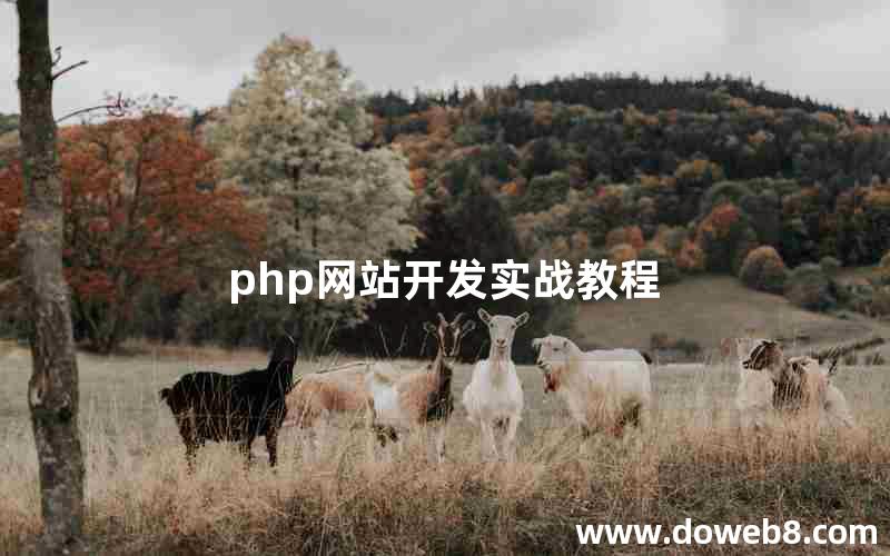 php网站开发实战教程