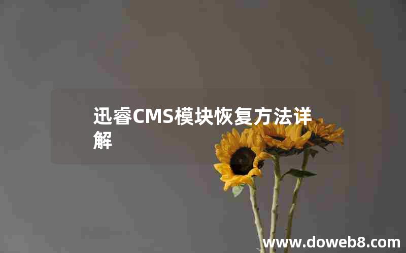 迅睿CMS模块恢复方法详解