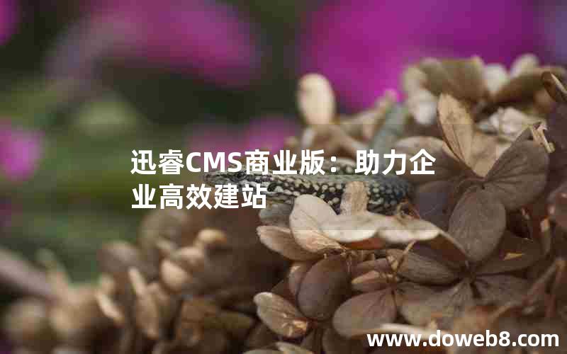 迅睿CMS商业版：助力企业高效建站