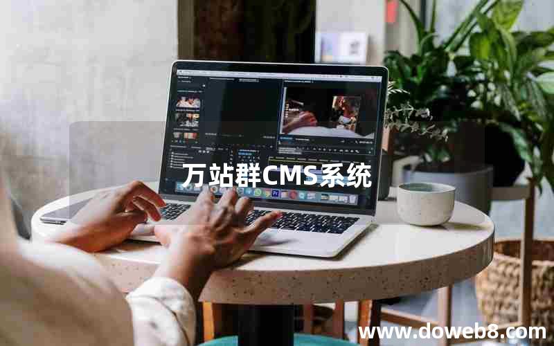 万站群CMS系统