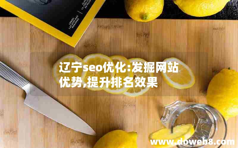 辽宁seo优化:发掘网站优势,提升排名效果