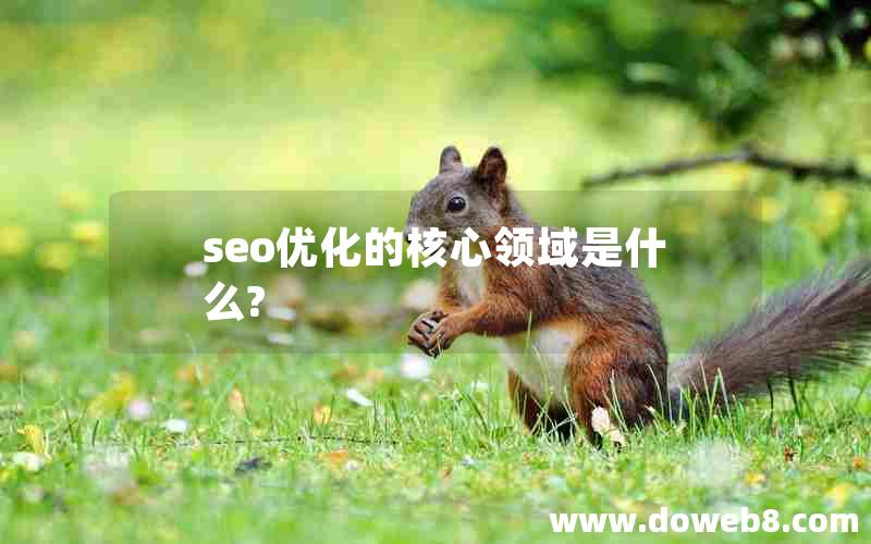 seo优化的核心领域是什么?