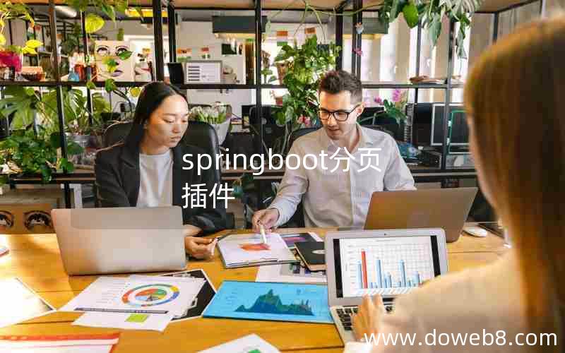 springboot分页插件