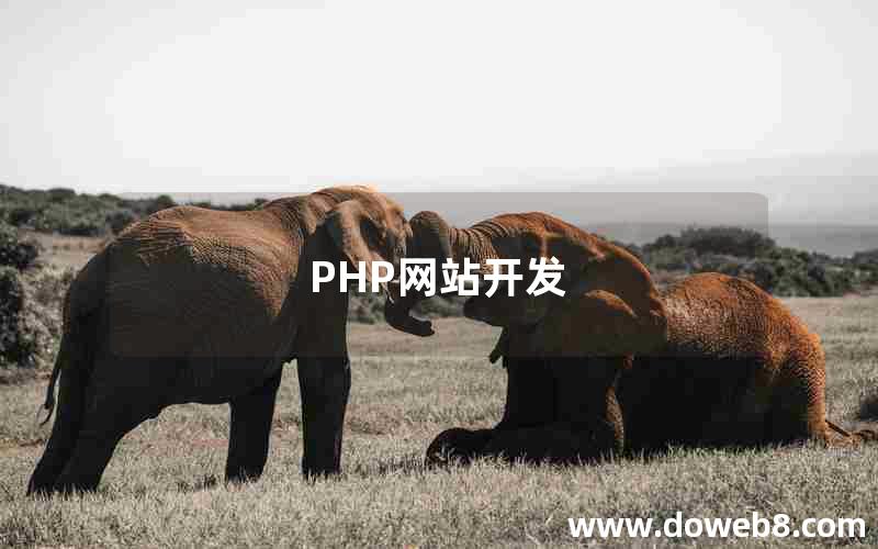 PHP网站开发