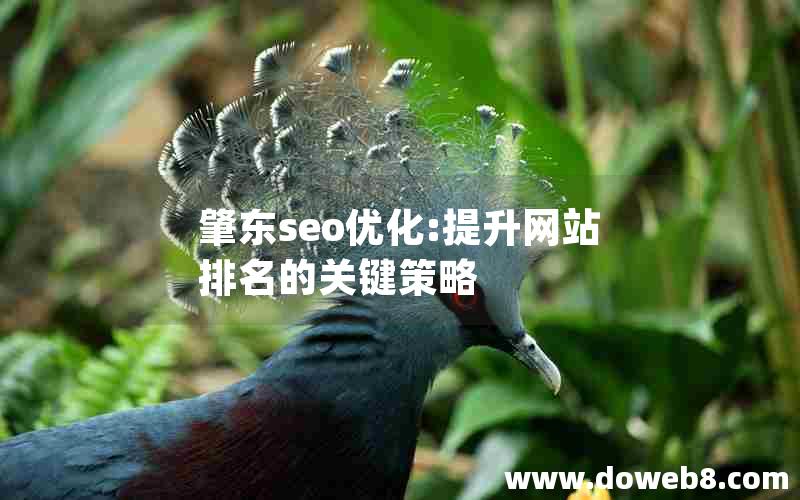 肇东seo优化:提升网站排名的关键策略