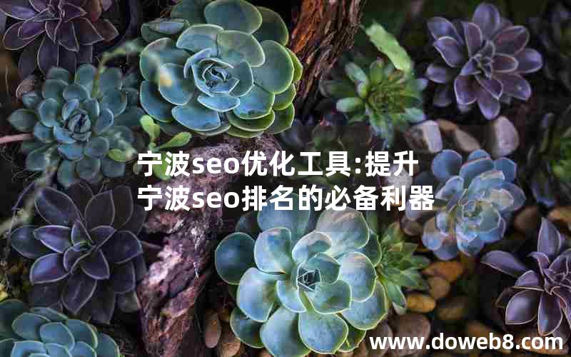 宁波seo优化工具:提升宁波seo排名的必备利器