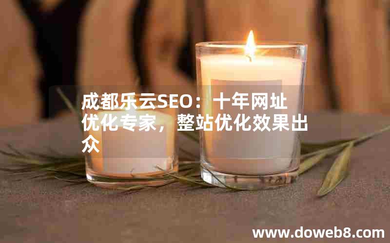 成都乐云SEO：十年网址优化专家，整站优化效果出众