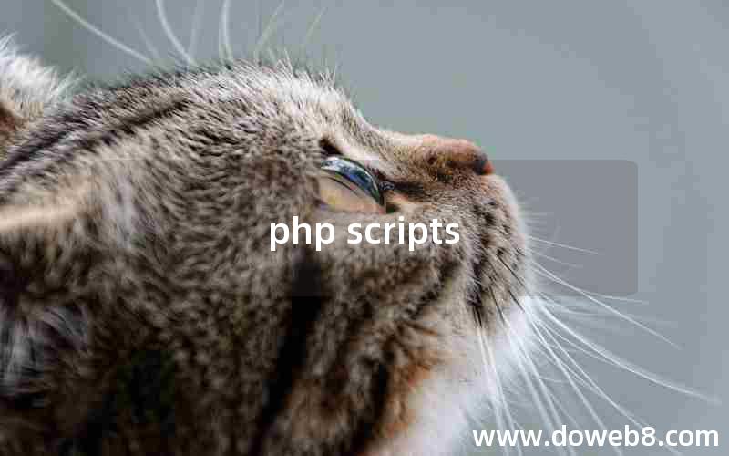 php scripts