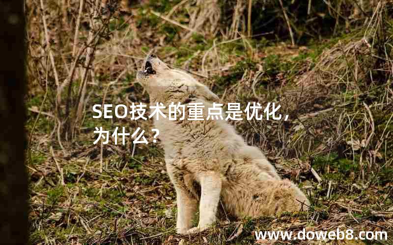 SEO技术的重点是优化，为什么？