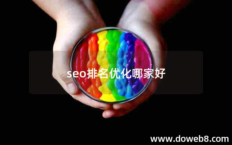 seo排名优化哪家好