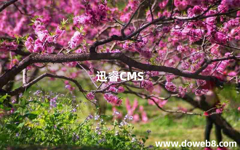 迅睿CMS