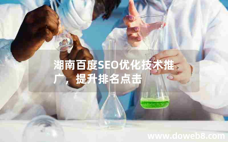 湖南百度SEO优化技术推广，提升排名点击