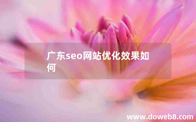 广东seo网站优化效果如何