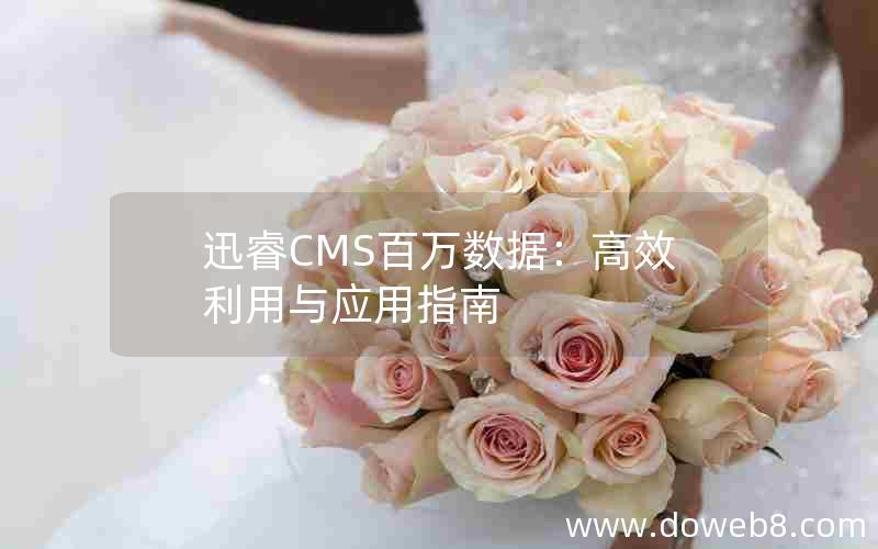 迅睿CMS百万数据：高效利用与应用指南