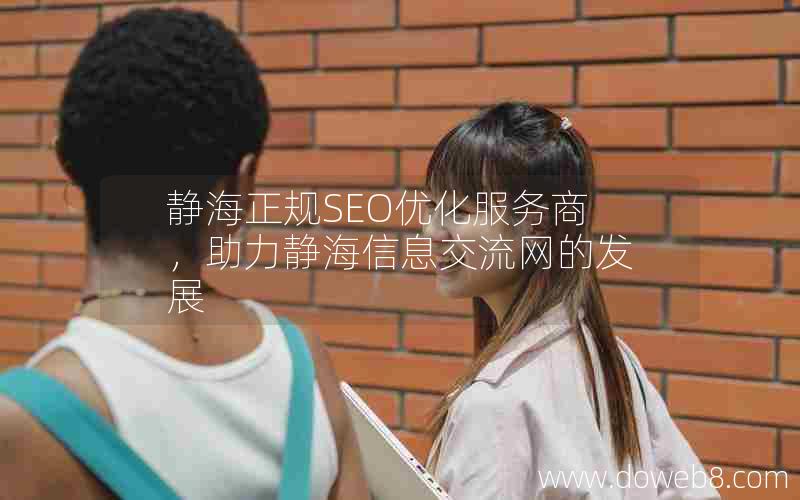 静海正规SEO优化服务商，助力静海信息交流网的发展