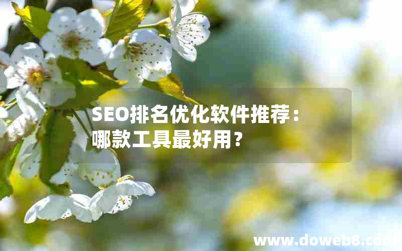 SEO排名优化软件推荐：哪款工具最好用？