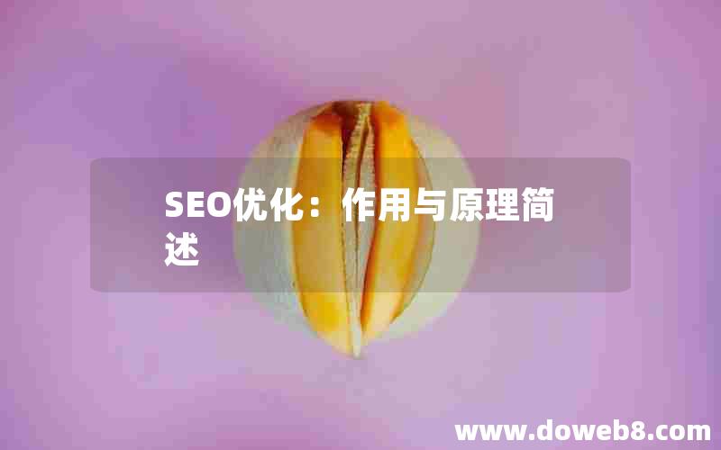 SEO优化：作用与原理简述