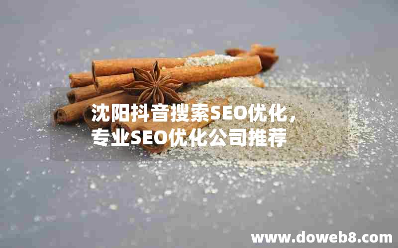 沈阳抖音搜索SEO优化，专业SEO优化公司推荐