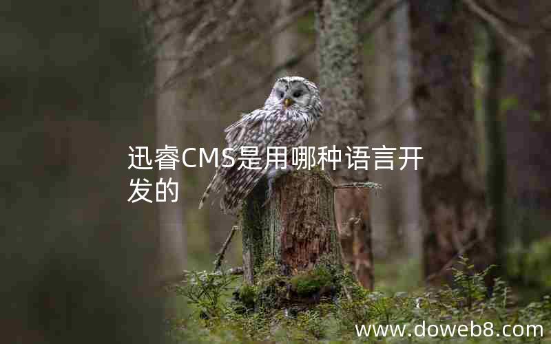 迅睿CMS是用哪种语言开发的