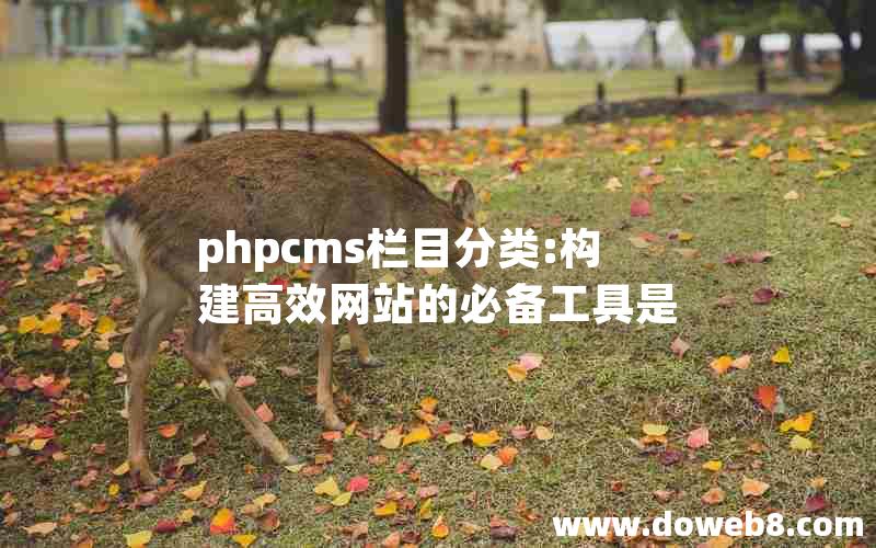 phpcms栏目分类:构建高效网站的必备工具是