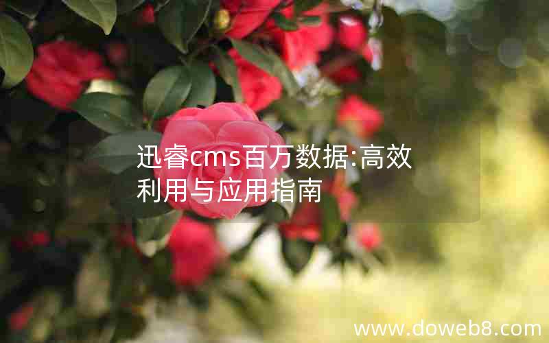 迅睿cms百万数据:高效利用与应用指南