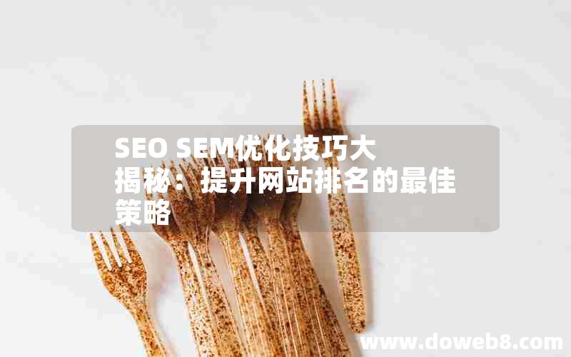 SEO SEM优化技巧大揭秘：提升网站排名的最佳策略