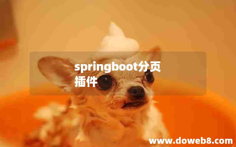 springboot分页插件