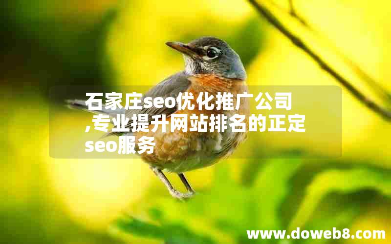 石家庄seo优化推广公司,专业提升网站排名的正定seo服务