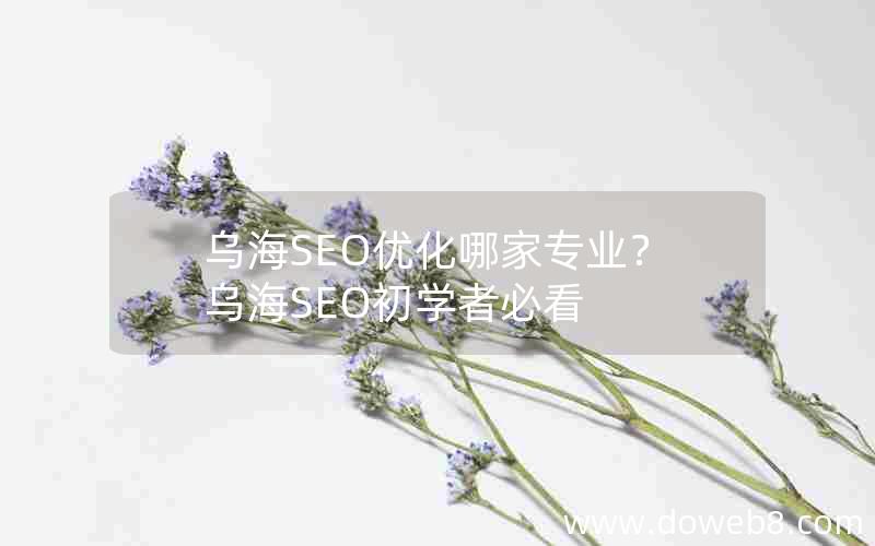 乌海SEO优化哪家专业？乌海SEO初学者必看