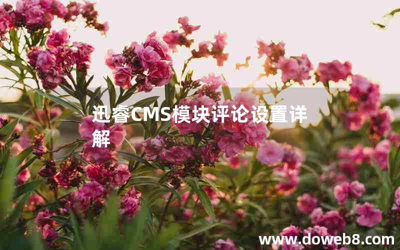 迅睿CMS模块评论设置详解